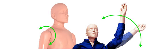 救助訓練人形レスキューマネキンの稼働部位：肩関節