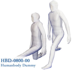 HBD-0800-00	ヒューマノイドダミーβフルスケルトン
