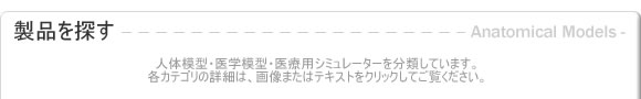 �l�̖͌^�E��w�͌^���i����