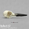 鳥類の骨格 BCBC112　エボシクマゲラの頭蓋骨模型