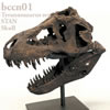 ティラノサウルス STAN 頭蓋骨レプリカ（9分の1スケール）・スタンド付