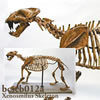 BCSCB012A ゼノスミルス全身骨格模型