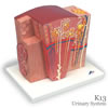 腎臓の組織構造モデル