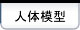 �l�̖͌^�E��w�͌^