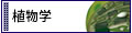 植物学