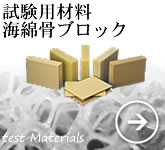 海綿骨の代替試験用材料・海綿骨ブロック