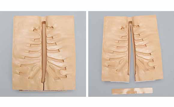 肋軟骨付き胸骨模擬骨のためのホルダーです。矢状分離型です。