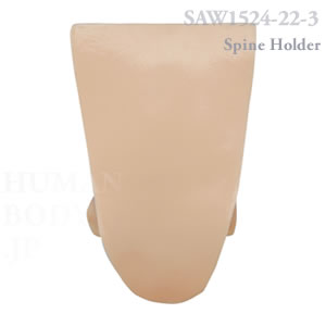 脊椎ホルダーカバー（L1-仙骨） SAW1524-22-3