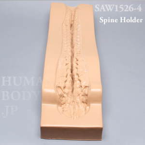 脊椎ホルダー（C1-仙骨） SAW1526-4