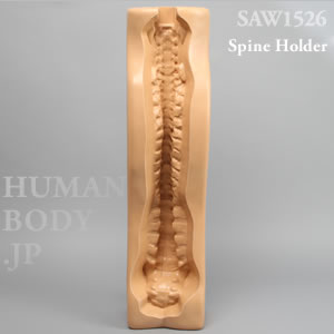 脊椎ホルダー（C1-仙骨） SAW1526