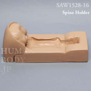 脊椎ホルダー（後頭骨-T3） SAW1528-16