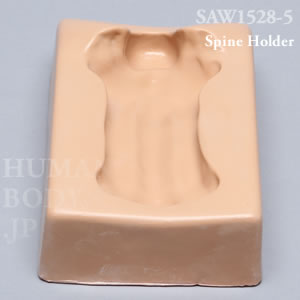 脊椎ホルダー（C1-C7） SAW1528-5