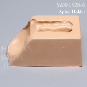 脊椎ホルダー（C1-C7） SAW1528-6