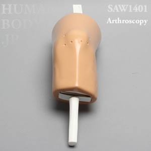 膝関節鏡トレーニング、医療シミュレータ　SAW1401