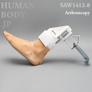 足関節鏡トレーニング、医療シミュレータ　SAW1412-8