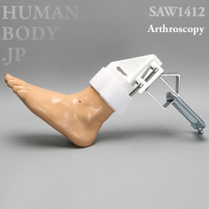 足関節鏡トレーニング、医療シミュレータ　SAW1412