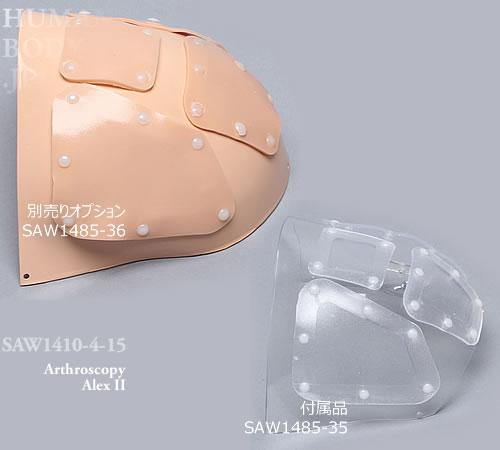 肩関節鏡シミュレータ、Alex II の肩表面は関節内部の見える透明タイプ。オプションで肌色タイプに交換して使用できます。