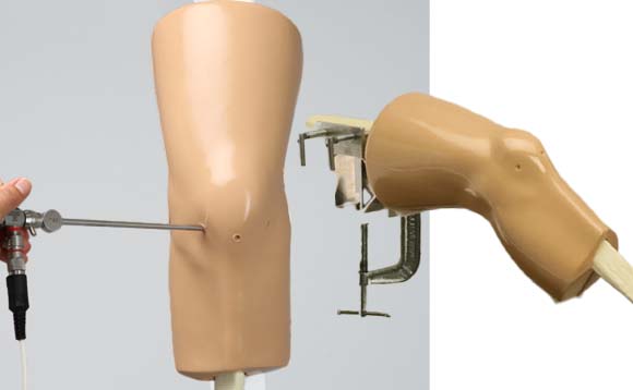 ACL膝関節鏡視下手術シミュレータ（大）の使用イメージ。