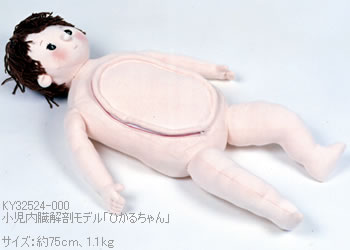 布製・小児内臓解剖モデル「ひかるちゃん」は、布製です。