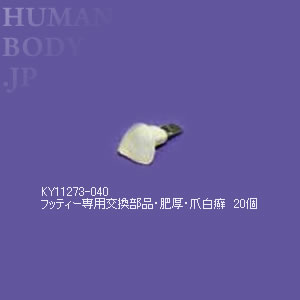 KY11273-040　メディカルフットケアモデル フッティー用・爪（肥厚・爪白癬）20個