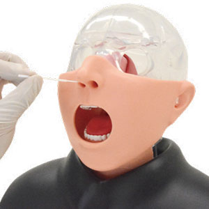検体採取練習 KY11426-000 鼻腔・咽頭拭い液採取モデル