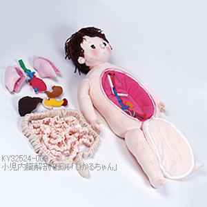 KY32524-000 布製・小児内臓解剖モデル「ひかるちゃん」
