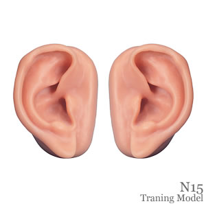 耳鍼手技・耳鍼モデル、2個セット