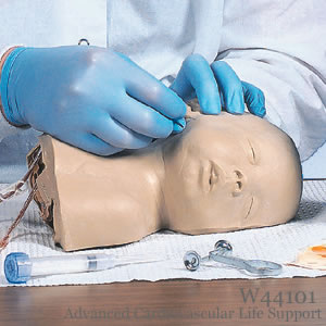 CPR（心肺蘇生法）・小児頭部注射シミュレーター