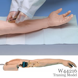 静脈注射手技・静脈注射トレーニングアーム、白人系仕様