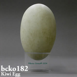 bcko182 BCKO182 Bone Clones ボーンクローン