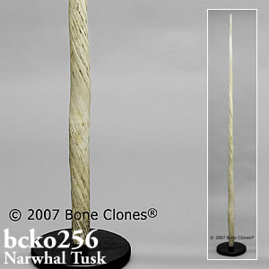 bcko256 BCKO256 Bone Clones ボーンクローン