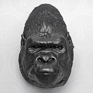 ゴリラ・頭部のライフキャスト（オス） BCLC30 Gorilla gorilla Bone Clones ボーンクローン