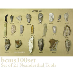 ネアンデルタール人の石器21個セット ms100set