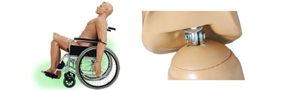 救助訓練人形レスキューマネキンの稼働部位：膝関節