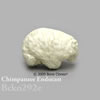 霊長類の生態 BCKO292E　チンパンジーの頭蓋エンドキャスト