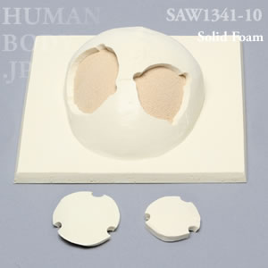 開頭部付き頭蓋冠 SAW1341-10 ソーボーン模擬骨