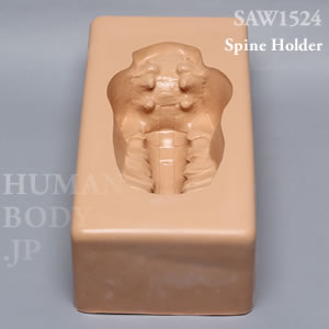 脊椎ホルダー（L1-仙骨） SAW1524