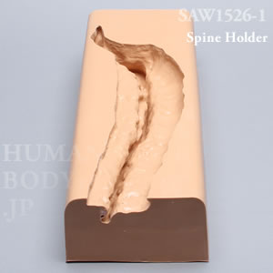 脊椎ホルダー（T8-仙骨） SAW1526-1