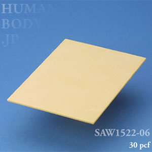 SAW1522-06 海綿骨ソリッド型シート（30pcf・3mm）
