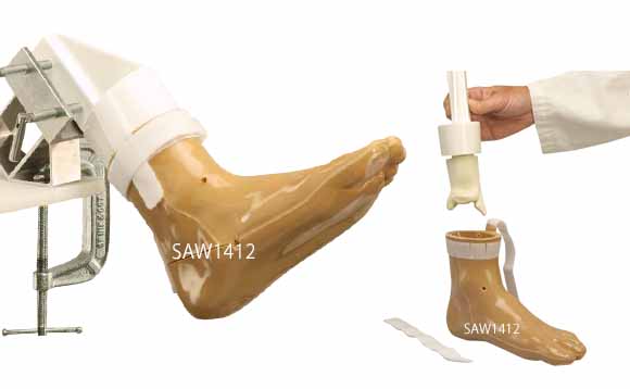 足関節鏡トレーニングモデルSAW1412