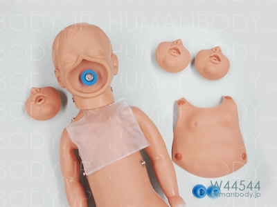 心肺蘇生法練習用マネキンW44544の写真。フェイスマスクを外した様子。