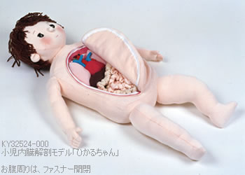 布製・小児内臓解剖モデル「ひかるちゃん」の腹部はファスナー式で開閉可能です。