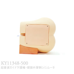KY11348-500 超音波ガイド下腰椎・硬膜外穿刺シミュレータ