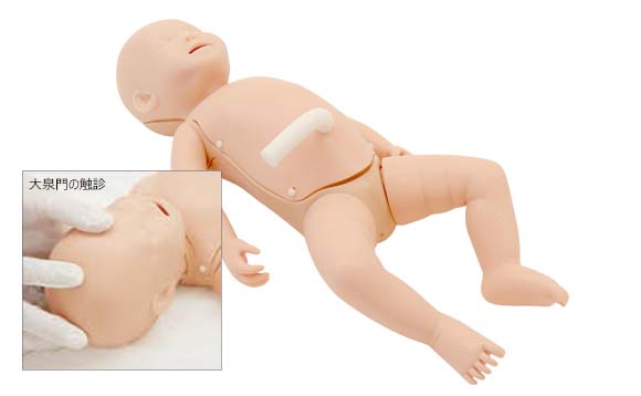 NCPRモデルの使用で新生児の基本的なケアとNCPRを安全に繰り返しトレーニングを行います。