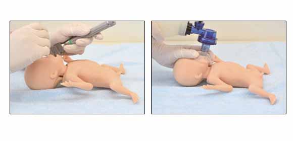 超低出生体重児モデルでの気管挿管、バッグバブルマスクでの喚起手順の実習。