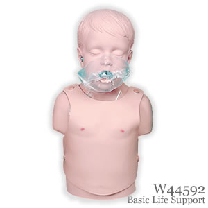 CPR（心肺蘇生）：小児心肺蘇生法トルソーモデル