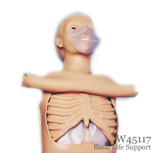 CPR（心肺蘇生）：成人心肺蘇生トルソーモデル