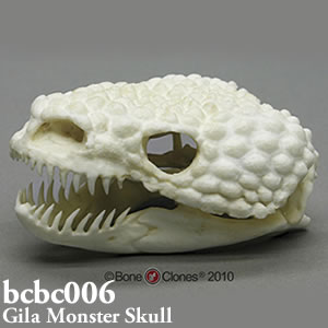 bcbc006 BCBC006 Bone Clones ボーンクローン
