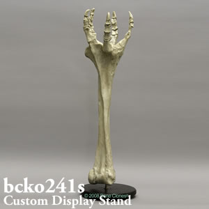 bcko241s BCKO241S Bone Clones ボーンクローン