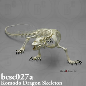 bcsc027a BCSC027A Bone Clones ボーンクローン